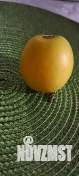 Дом 110м², 2-этажный, посуточно,