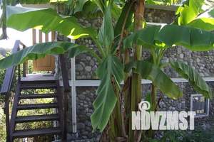 Дом 25м², 2-этажный, посуточно,