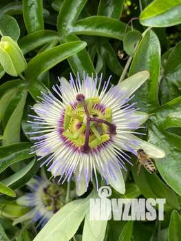 Дом 60м², 2-этажный, посуточно,