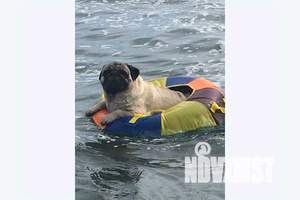 Дом 72м², 2-этажный, посуточно,