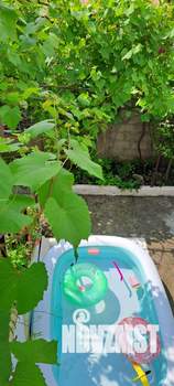 Дом 120м², 2-этажный, посуточно,