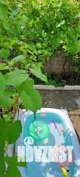 Дом 120м², 2-этажный, посуточно,