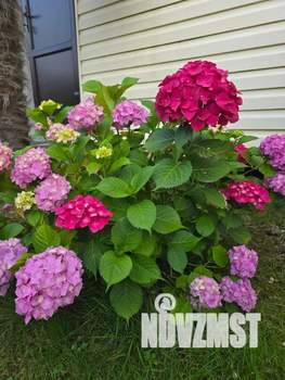 Дом 20м², 1-этажный, посуточно,