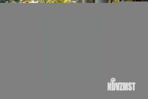 Дом 226м², 1-этажный, посуточно,