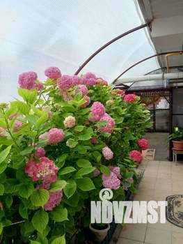 Дом 125м², 3-этажный, посуточно,