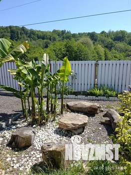 Дом 20м², 1-этажный, посуточно,