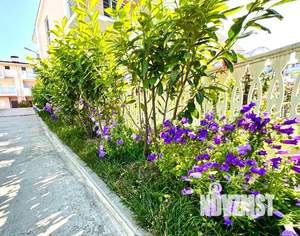 Дом 130м², 3-этажный, посуточно,