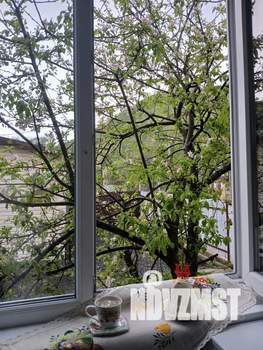 Дом 25м², 1-этажный, посуточно,