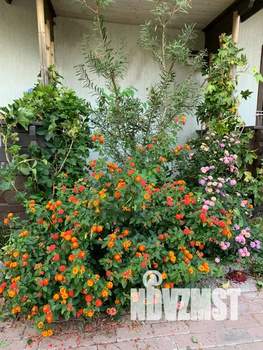 Дом 35м², 1-этажный, посуточно,