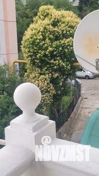 Дом 50м², 3-этажный, посуточно,