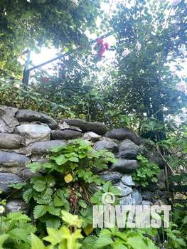 Дом 90м², 2-этажный, посуточно,