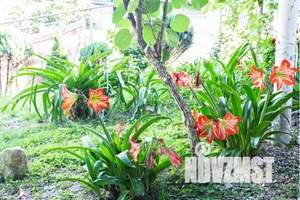 Дом 70м², 2-этажный, посуточно,