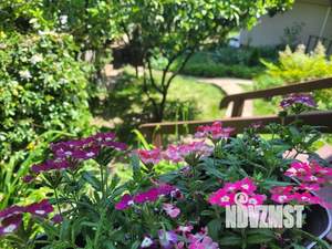 Дом 30м², 1-этажный, посуточно,