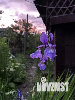 Дом 9м², 1-этажный, посуточно,