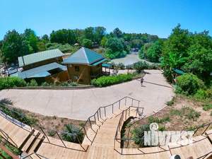 Дом 29м², 1-этажный, посуточно,