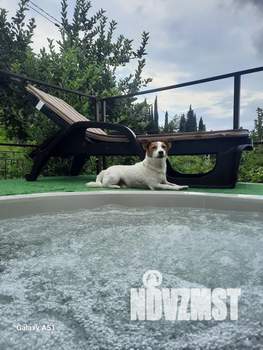 Дом 40м², 1-этажный, посуточно,