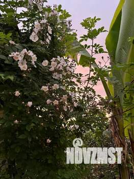 Дом 9м², 1-этажный, посуточно,