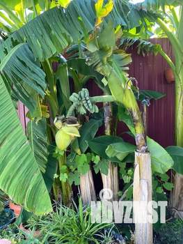 Дом 85м², 1-этажный, посуточно,