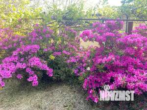 Дом 60м², 2-этажный, посуточно,