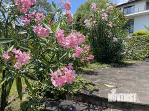 Коттедж 180м², 2-этажный, на длительный срок,