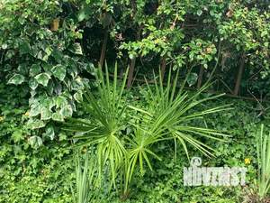 Дом 100м², 2-этажный, посуточно,