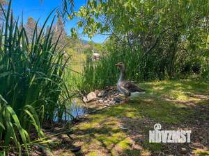 Дом 16м², 1-этажный, посуточно,