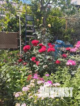 Дом 20м², 1-этажный, посуточно,