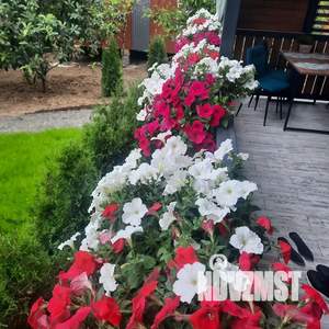 Дом 100м², 1-этажный, посуточно,