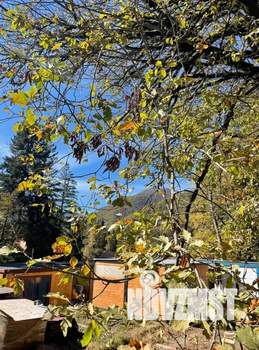 Дом 27м², 1-этажный, посуточно,