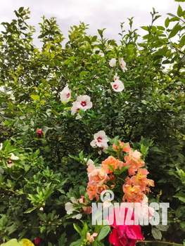 Дом 33м², 1-этажный, посуточно,