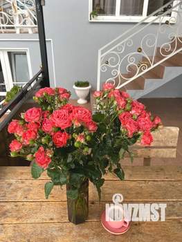 Дом 60м², 1-этажный, посуточно,