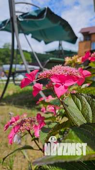 Дом 60м², 2-этажный, посуточно,