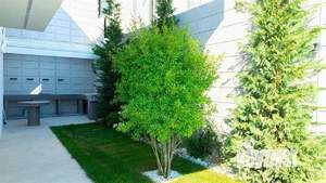 Дом 220м², 2-этажный, на длительный срок,