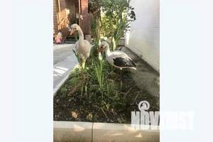 Дом 72м², 2-этажный, посуточно,