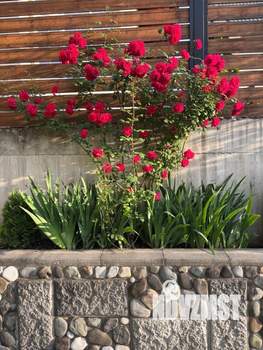 Дом 130м², 2-этажный, посуточно,