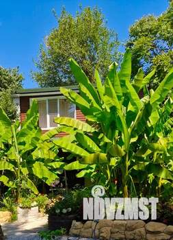 Дом 40м², 2-этажный, посуточно,