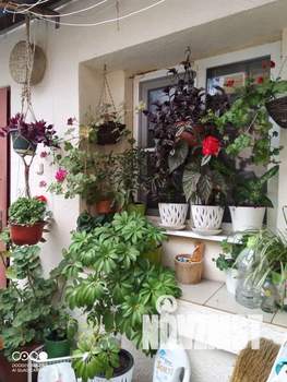 Дом 36м², 1-этажный, посуточно,