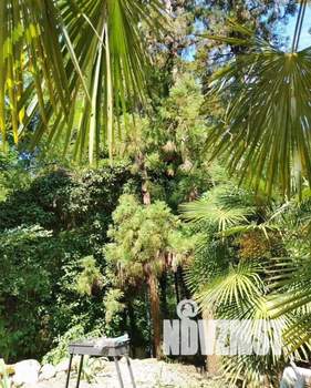 Дом 80м², 2-этажный, посуточно,