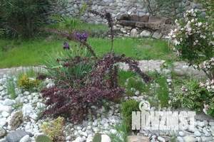 Дом 25м², 2-этажный, посуточно,