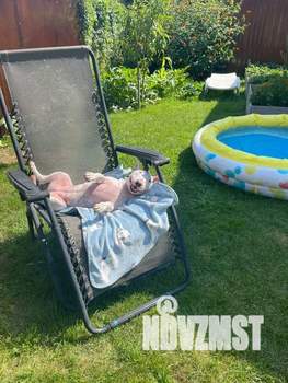 Дом 90м², 2-этажный, посуточно,