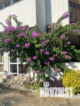 Дом 300м², 3-этажный, посуточно,