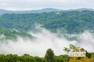 Дом 80м², 2-этажный, участок 4 сот.