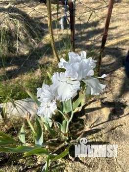 Дом 50м², 1-этажный, участок 8 сот.