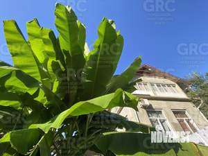 Дом 258м², 2-этажный, участок 4 сот.