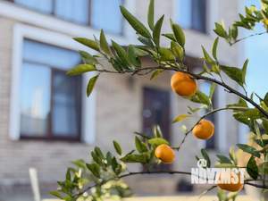 Дом 170м², 2-этажный, участок 5 сот.