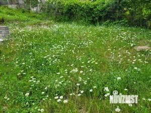 Дом 134м², 2-этажный, участок 7 сот.