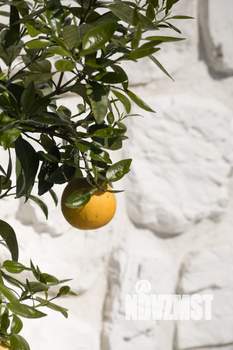 Дом 244м², 2-этажный, участок 4 сот.