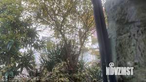 Дом 329м², 3-этажный, участок 15 сот.