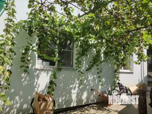 Дом 187м², 3-этажный, участок 5 сот.