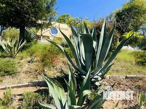 Дом 100м², 1-этажный, участок 35 сот.